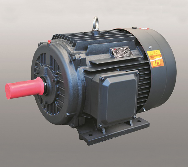 Y2系列三相異步電動(dòng)機(jī)