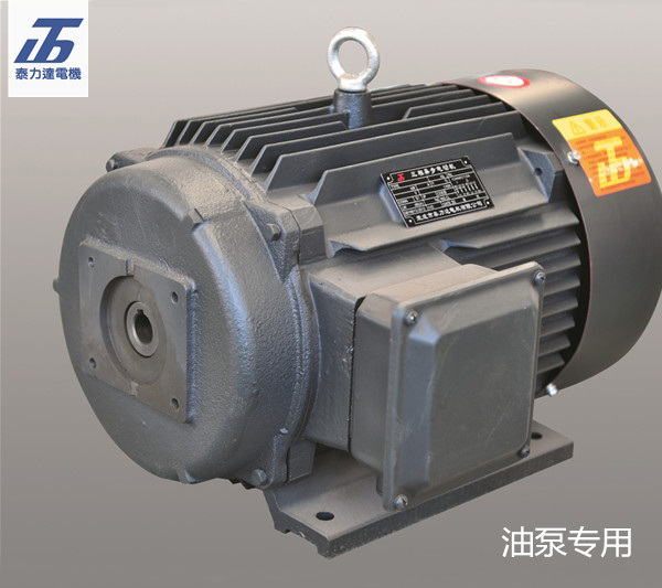 FZY系列直結(jié)式油泵專(zhuān)用三相異步電動(dòng)機(jī)