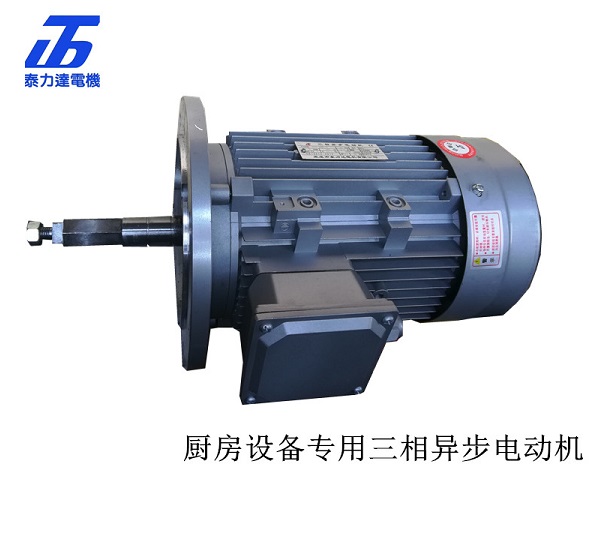 DF3系列廚房設(shè)備專(zhuān)用三相異步電動(dòng)機(jī)